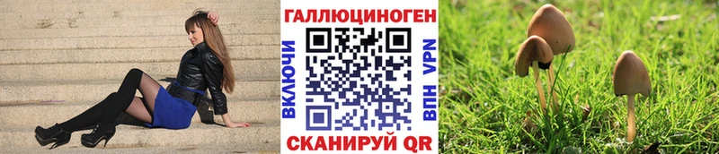 Галлюциногенные грибы Psilocybine cubensis Заволжск